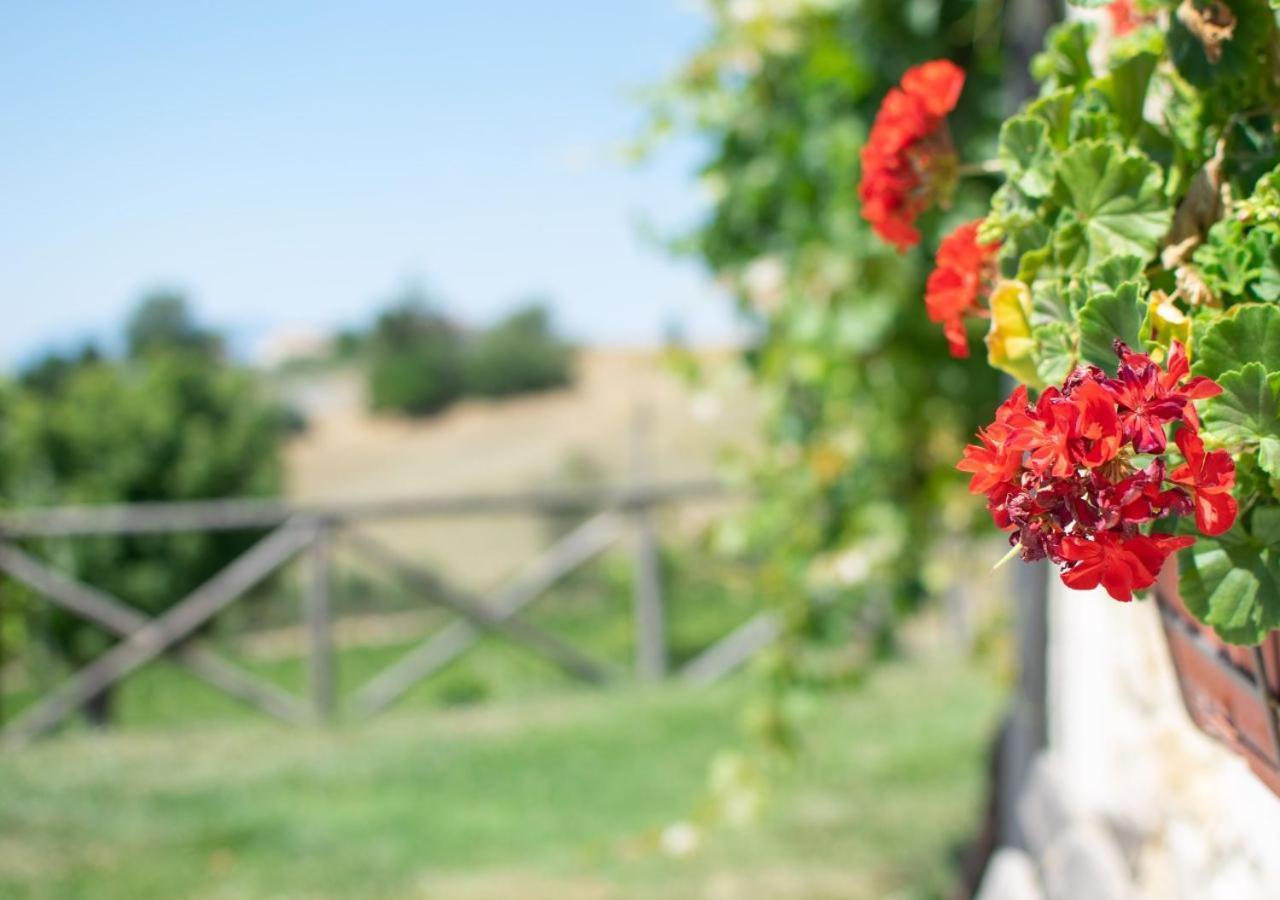 Agriturismo Torre Gialluise Gesualdo 외부 사진