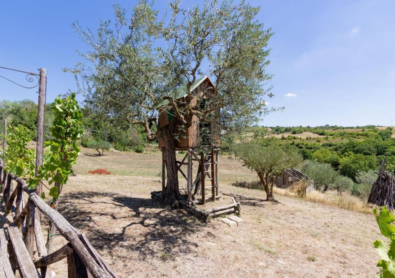 Agriturismo Torre Gialluise Gesualdo 외부 사진