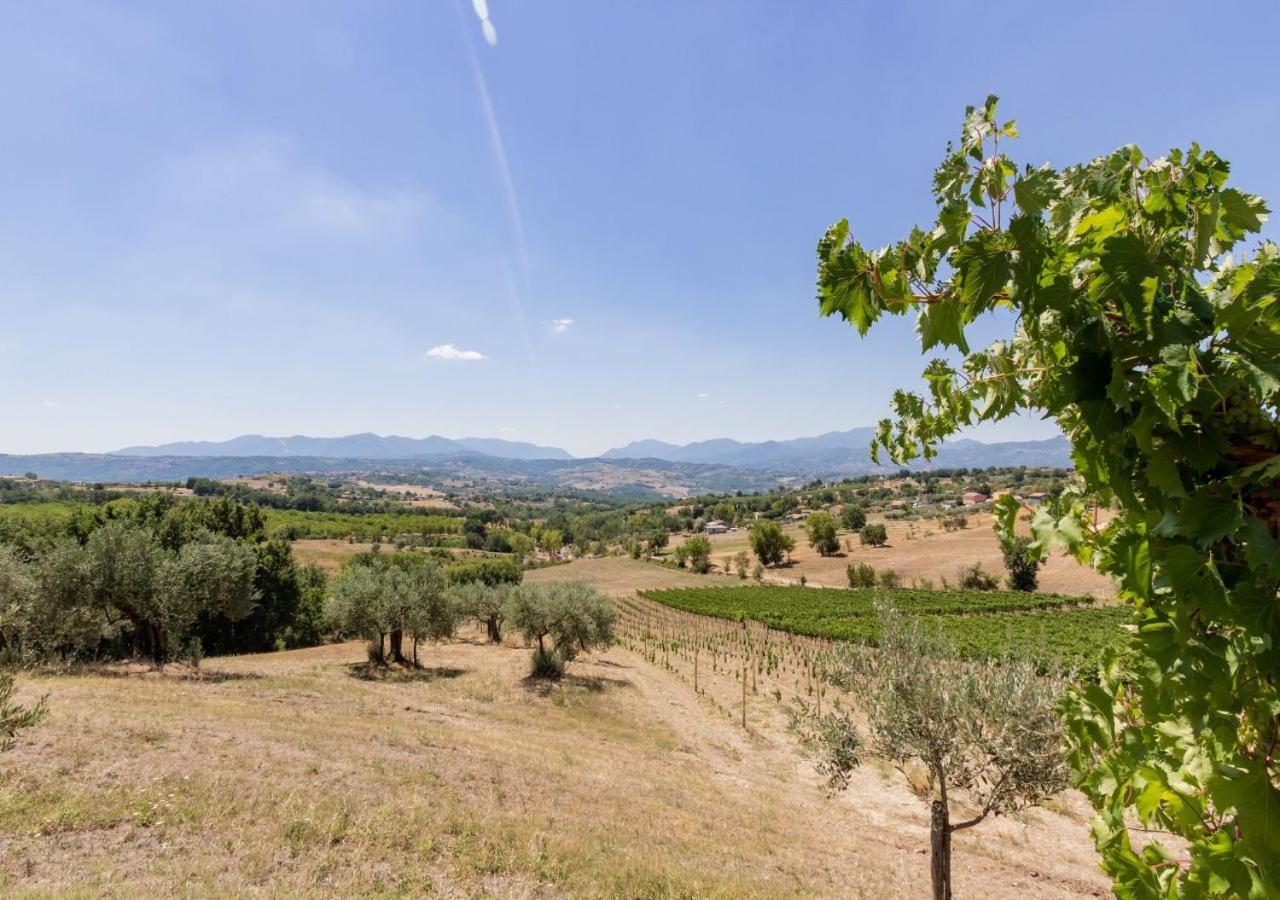 Agriturismo Torre Gialluise Gesualdo 외부 사진
