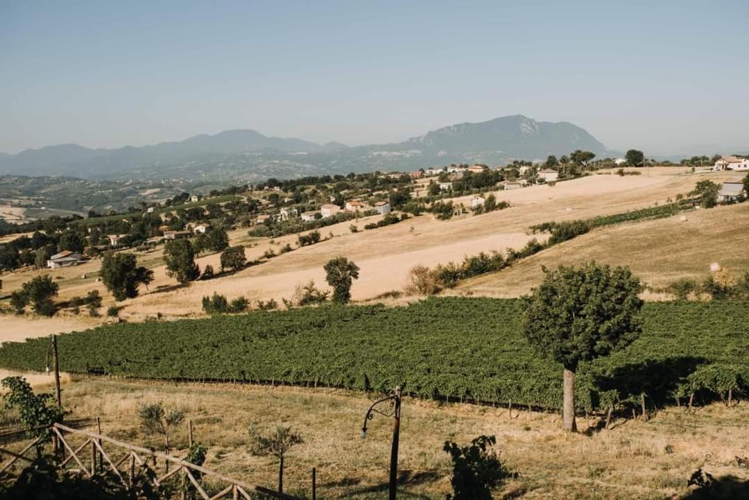 Agriturismo Torre Gialluise Gesualdo 외부 사진