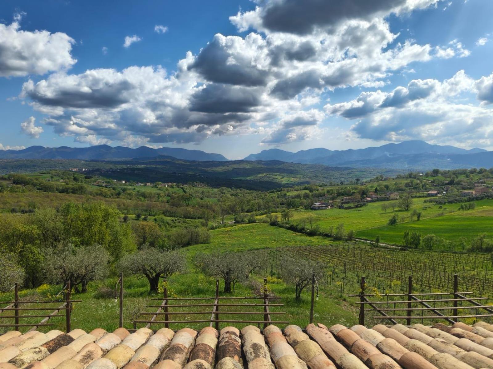Agriturismo Torre Gialluise Gesualdo 외부 사진